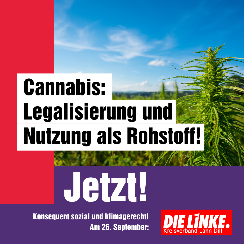 Cannabis Legalisierung Und Rohstoffnutzung Die Linke Lahn Dill Kreis